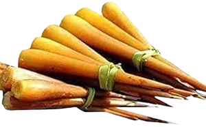 Palmyra Sprout (Panang Kizhangu)