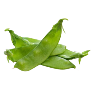 Broad beans / Avarakka