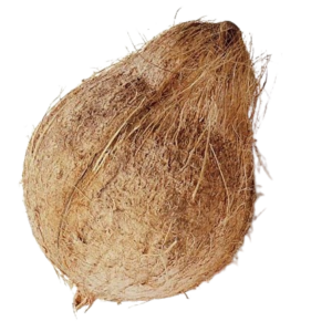 Coconut Fresh with hair