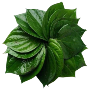 Betel Leaves (Vetrilai)-(Per 10 Piece)