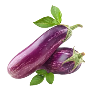 Long Brinjal (Nattu Kathirikai)