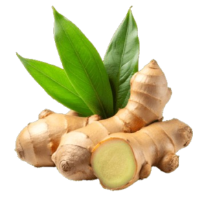 Ginger (Inji)